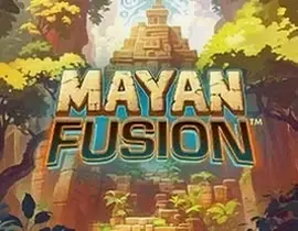 Dachbet Casino Interface