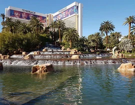 Hình ảnh màn hình